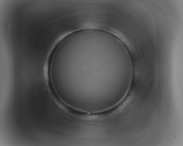 X0000102411030200808011603