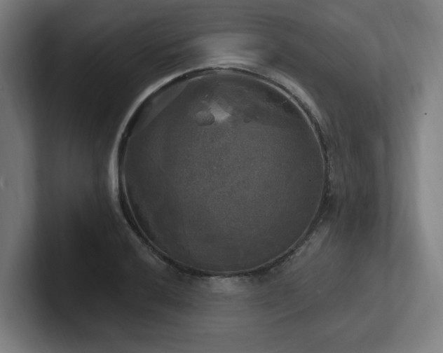X0000102411032200808011603