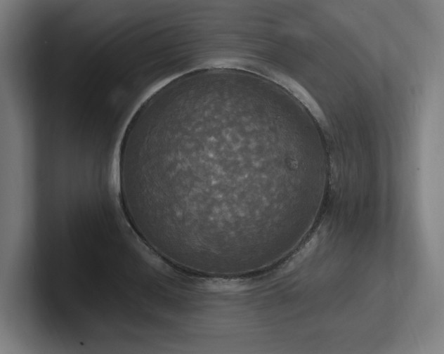 X0000102411036200808011603