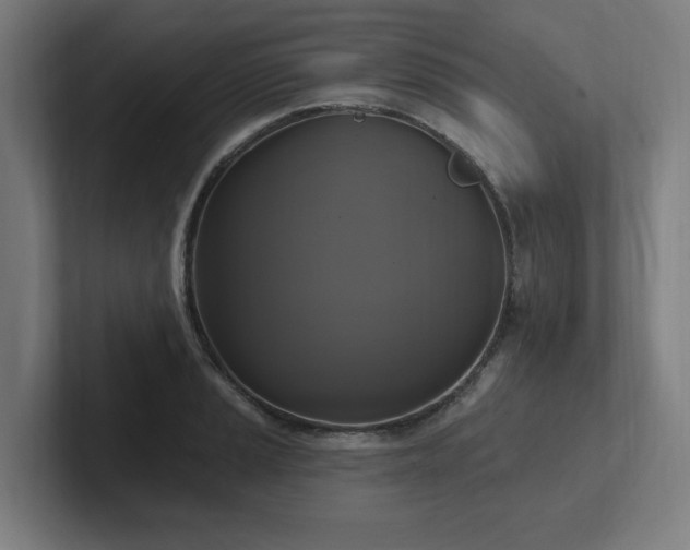 X0000102411037200808011603