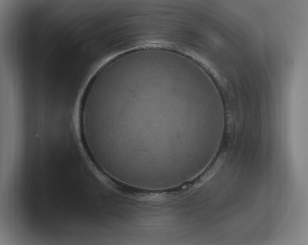 X0000102411038200808011603
