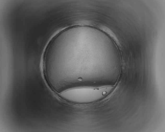 X0000102411040200808011603