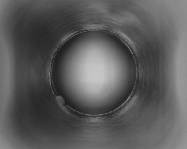 X0000102411041200808011603
