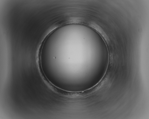 X0000102411042200808011603