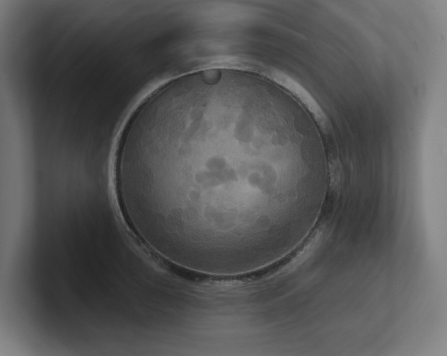 X0000102411043200808011603
