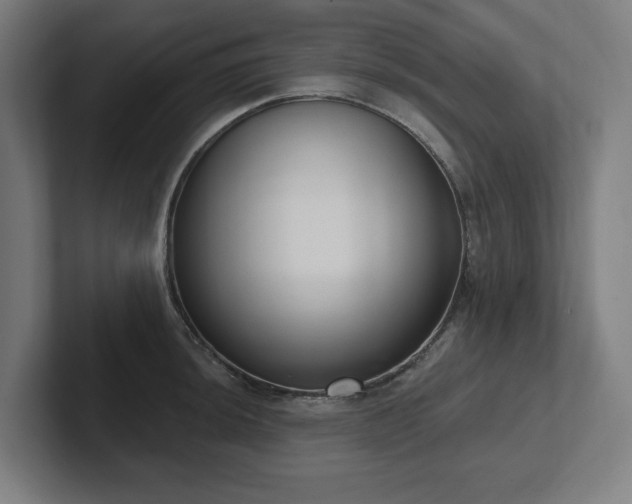 X0000102411044200808011603