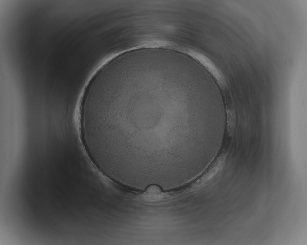 X0000102411046200808011603