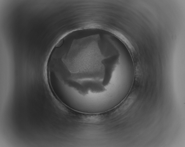 X0000102411047200808011603