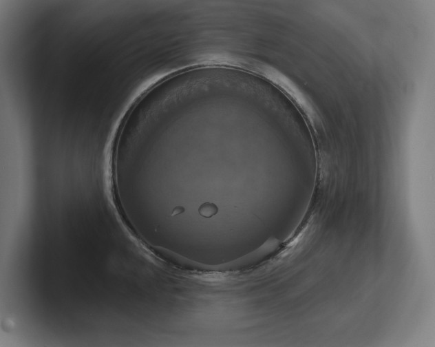 X0000102411048200808011603