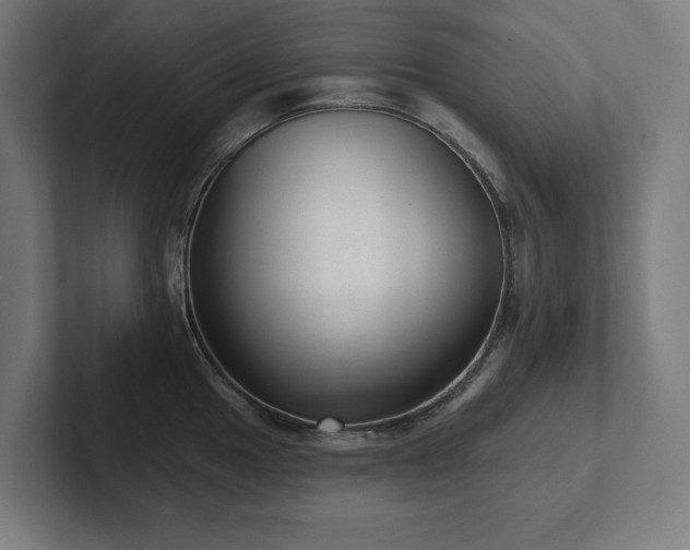 X0000102411049200808011603
