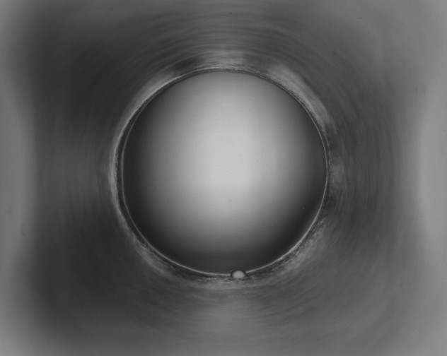 X0000102411050200808011603