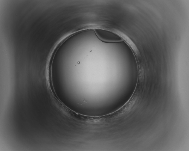 X0000102411051200808011603