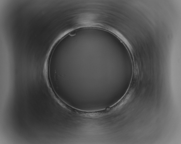 X0000102411053200808011603