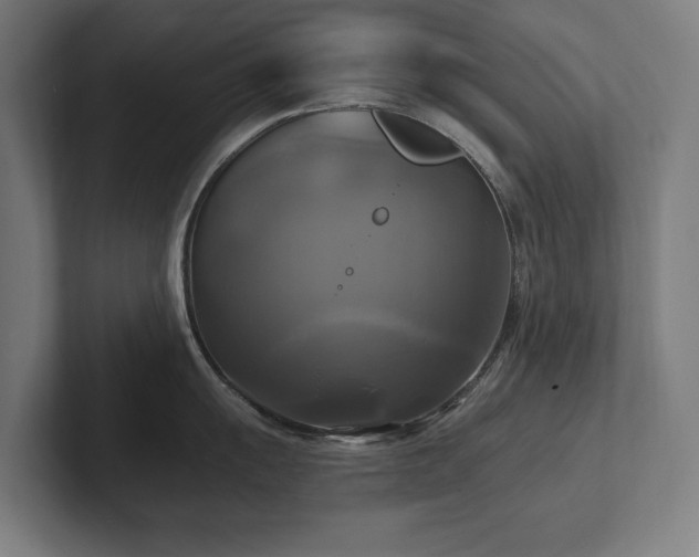 X0000102411055200808011603