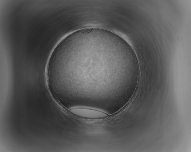 X0000102411056200808011603