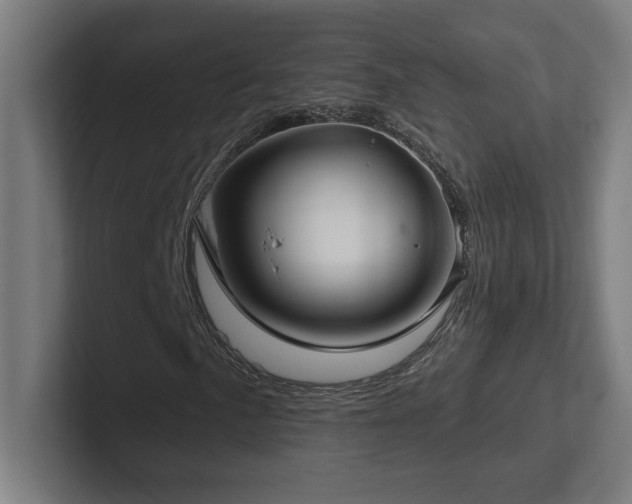X0000102411057200808011603
