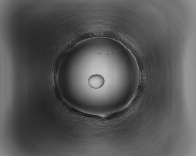 X0000102411060200808011602