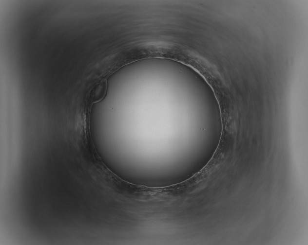 X0000102411061200808011602