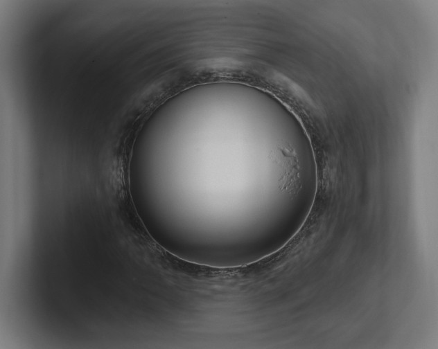 X0000102411062200808011602