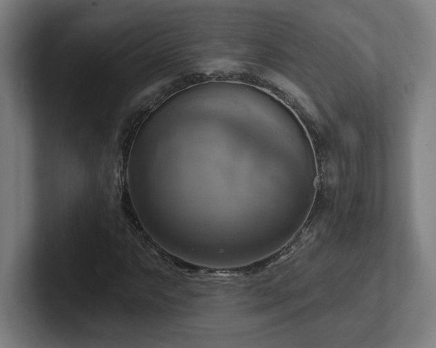 X0000102411063200808011602