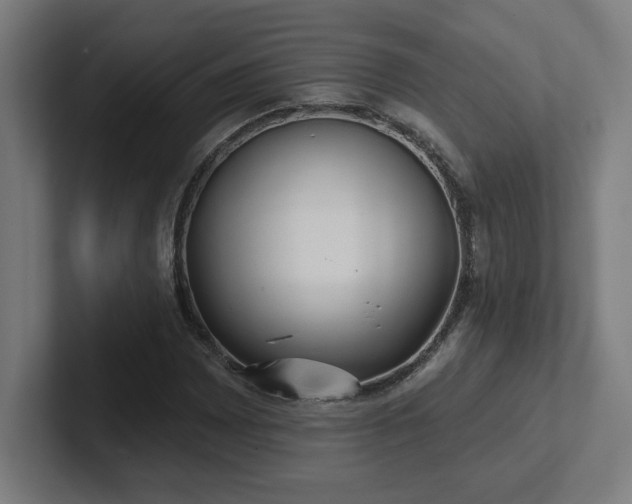 X0000102411065200808011602