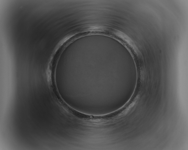 X0000102411066200808011602