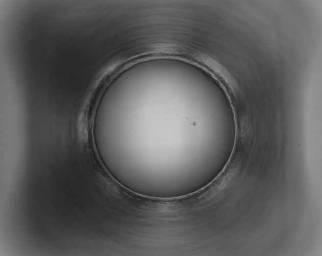 X0000102411067200808011602