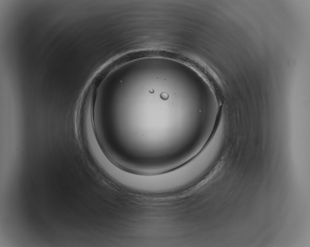 X0000102411069200808011602