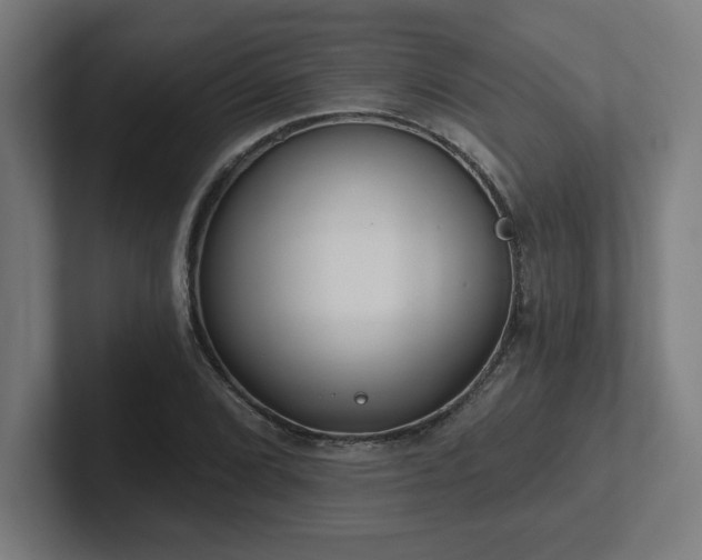 X0000102411072200808011602