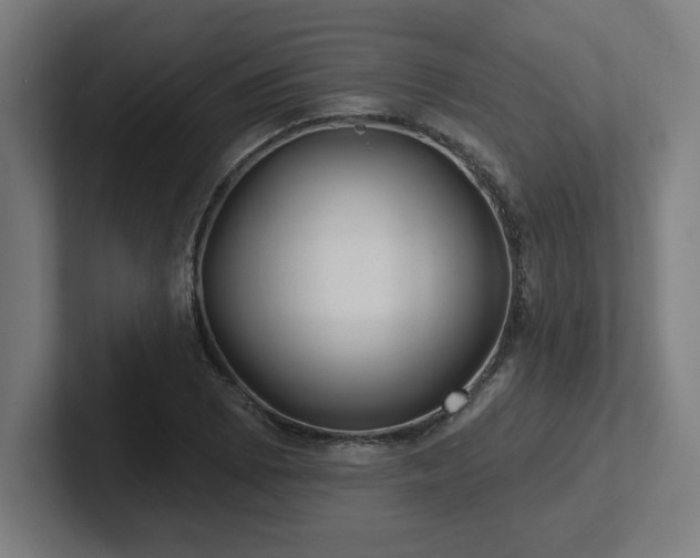 X0000102411073200808011602