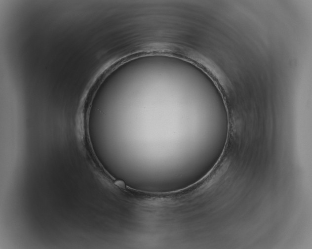 X0000102411075200808011602