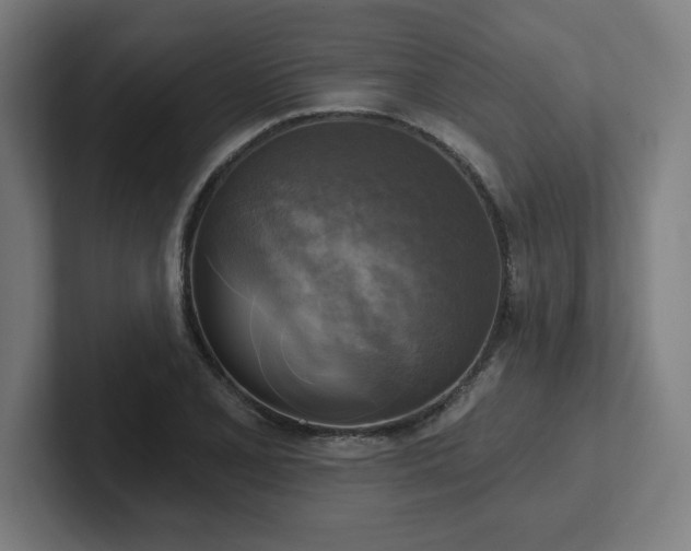 X0000102411077200808011602