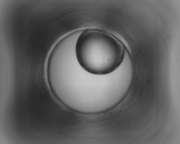 X0000102411080200808011602