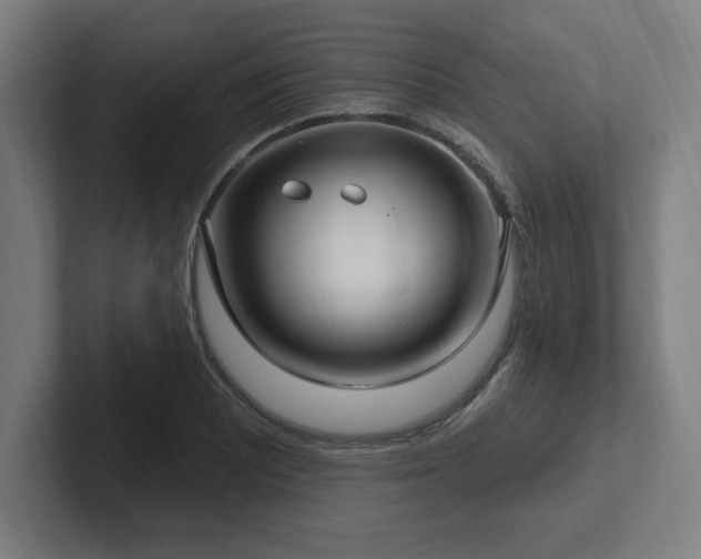 X0000102411081200808011602