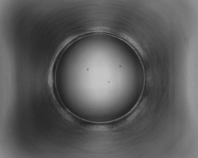 X0000102411082200808011602