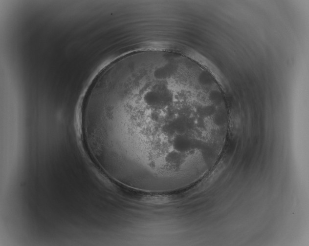X0000102411083200808011602