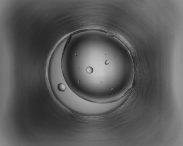 X0000102411084200808011602