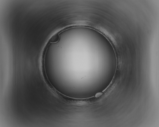 X0000102411085200808011602