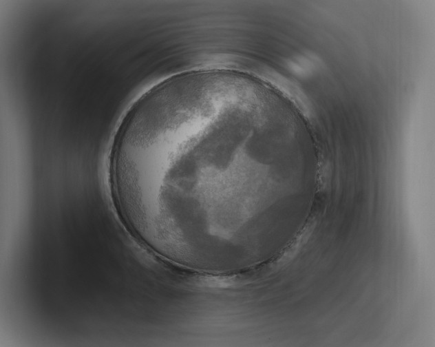 X0000102411086200808011602