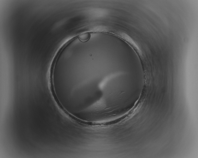 X0000102411087200808011602
