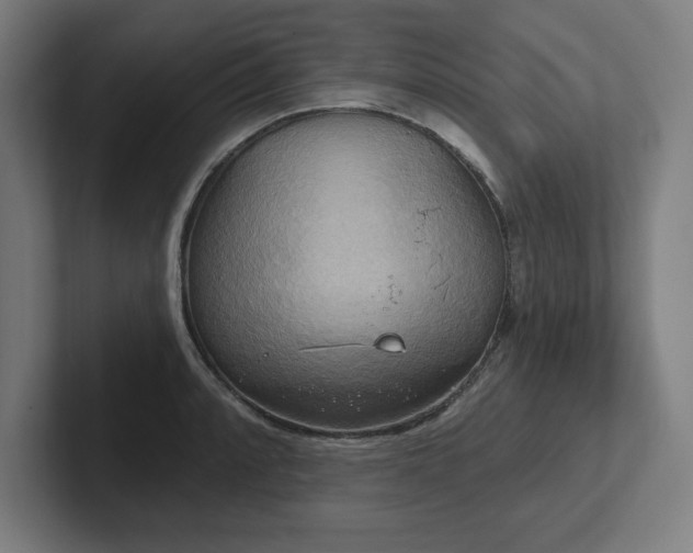 X0000102411088200808011602