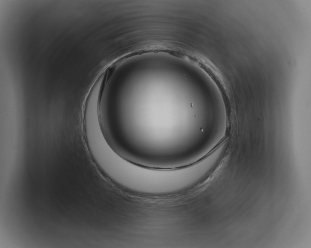 X0000102411089200808011602