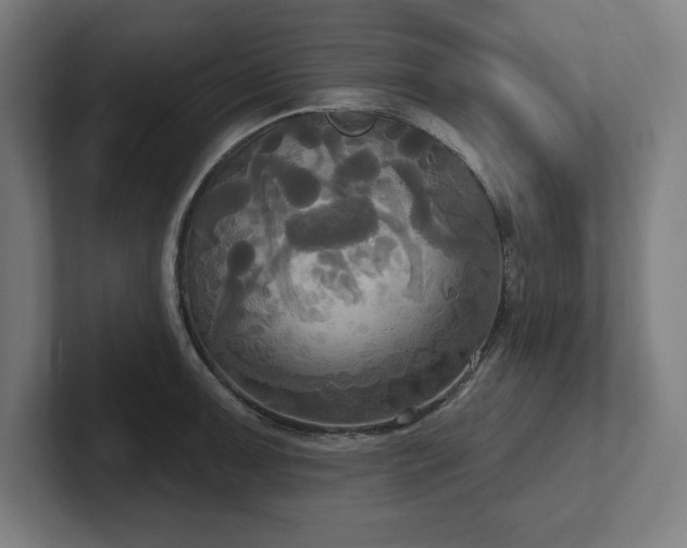 X0000102411091200808011602