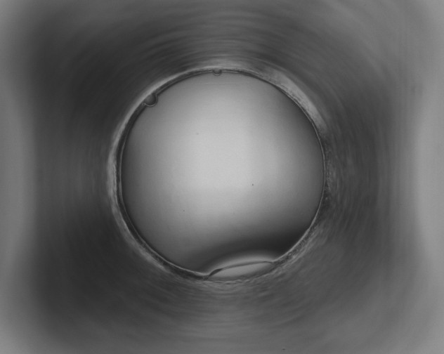 X0000102411092200808011602