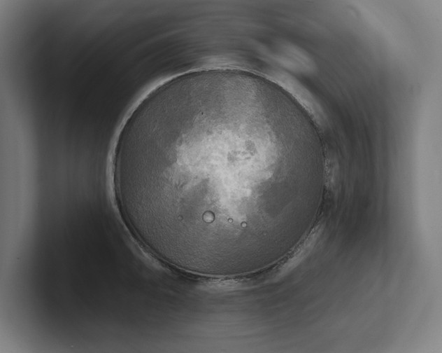 X0000102411094200808011602