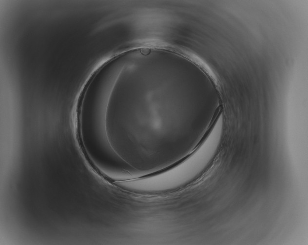 X0000102411095200808011602