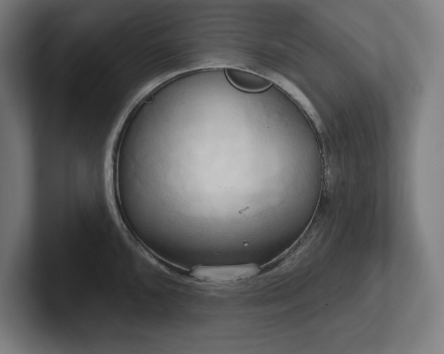 X0000102411096200808011602