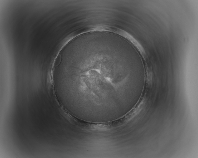 X0000102411097200808011602