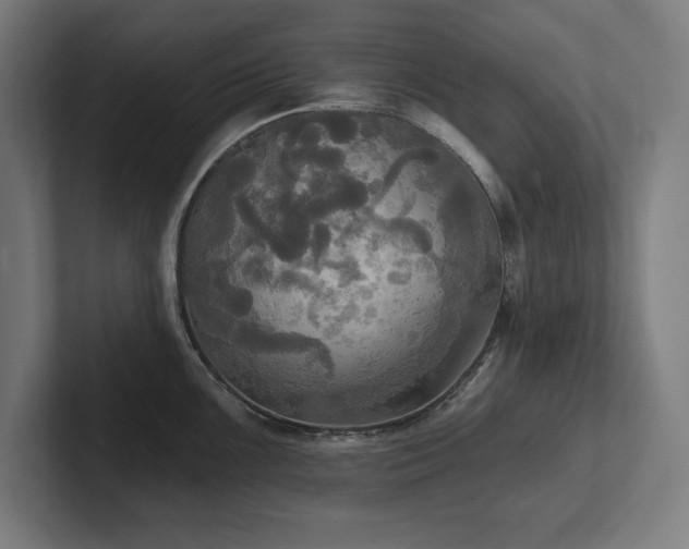X0000102411099200808011602