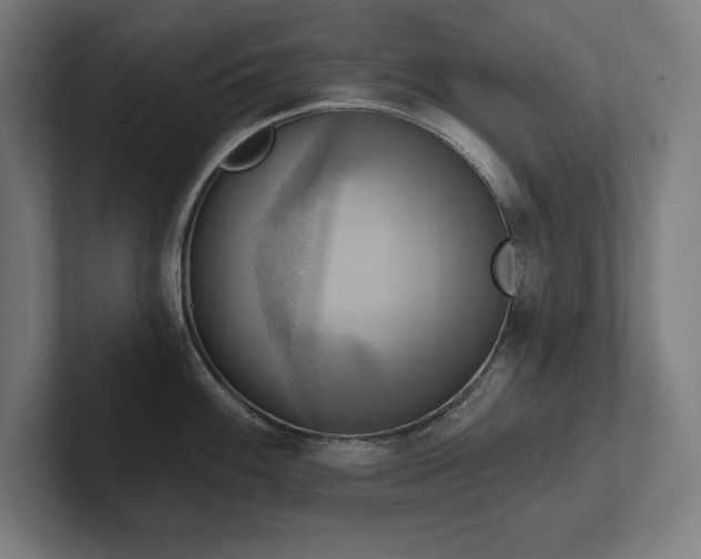 X0000102411100200808011602